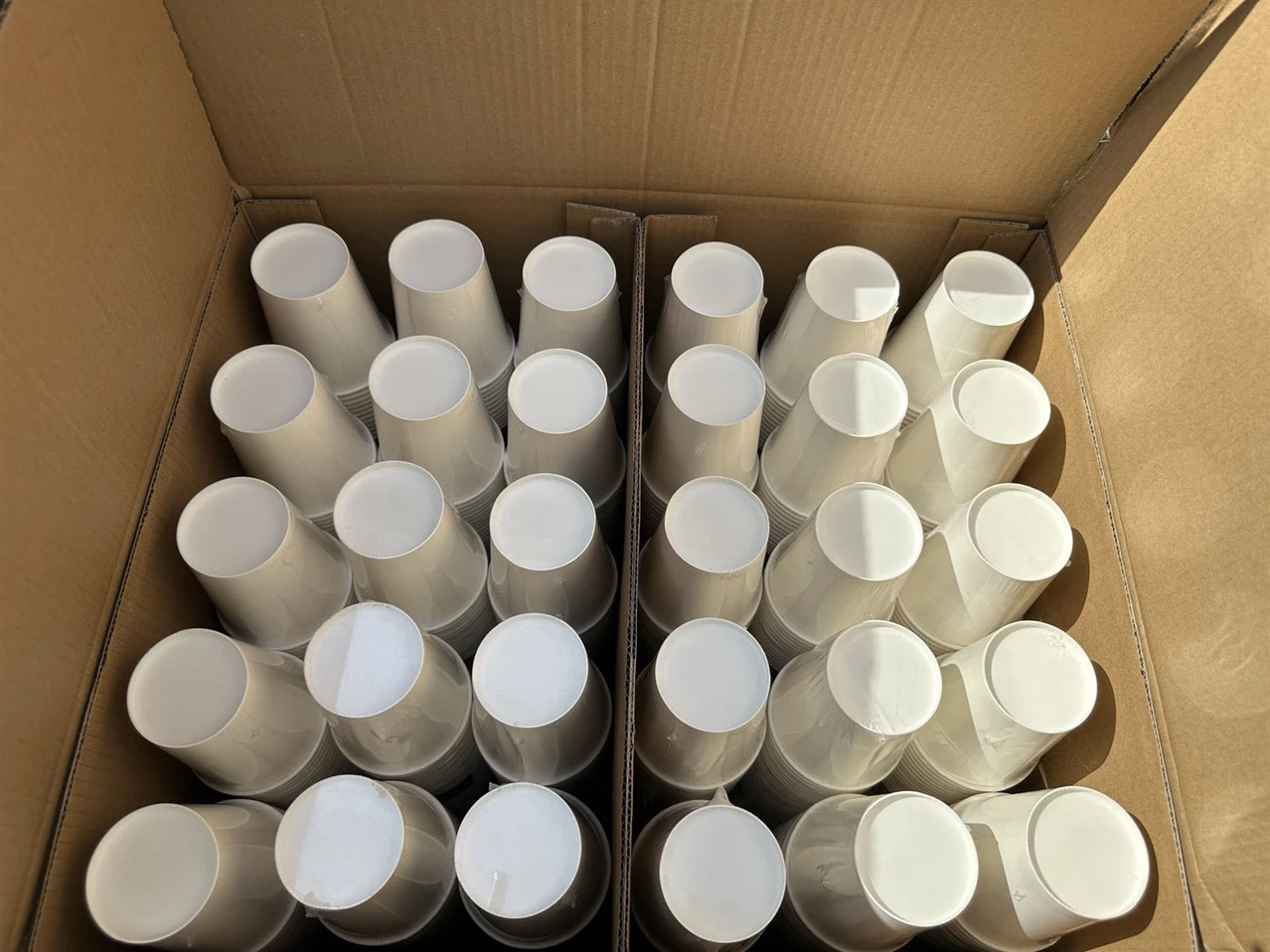 photobank 5 photobank 5